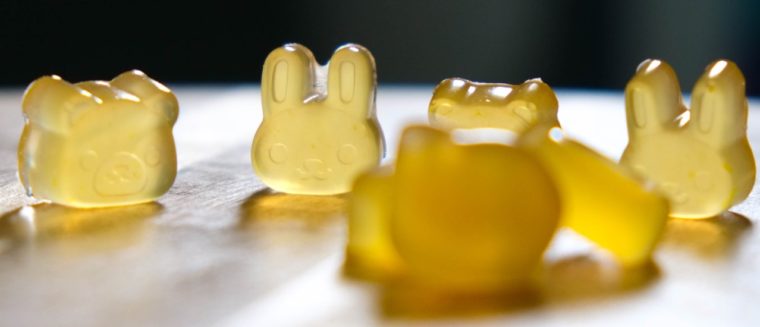 Lime Gummies seated around a council discussing the ring (Flash Fiction Kitchen, paleo, AIP, Vegan)