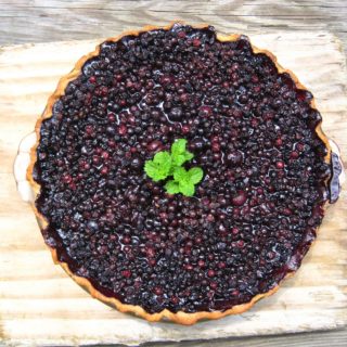 Paleo AIP Wild Maine Blueberry Pie from Flash Fiction Kitchen