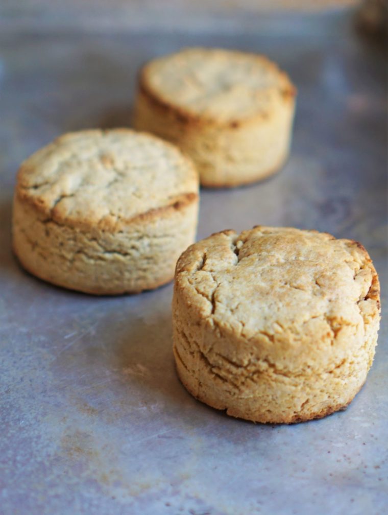 Biscuits (paleo, AIP) from Flash Fiction Kitchen